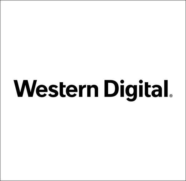 1Tb Western Digital 2.5In  Sata Av Hdd 